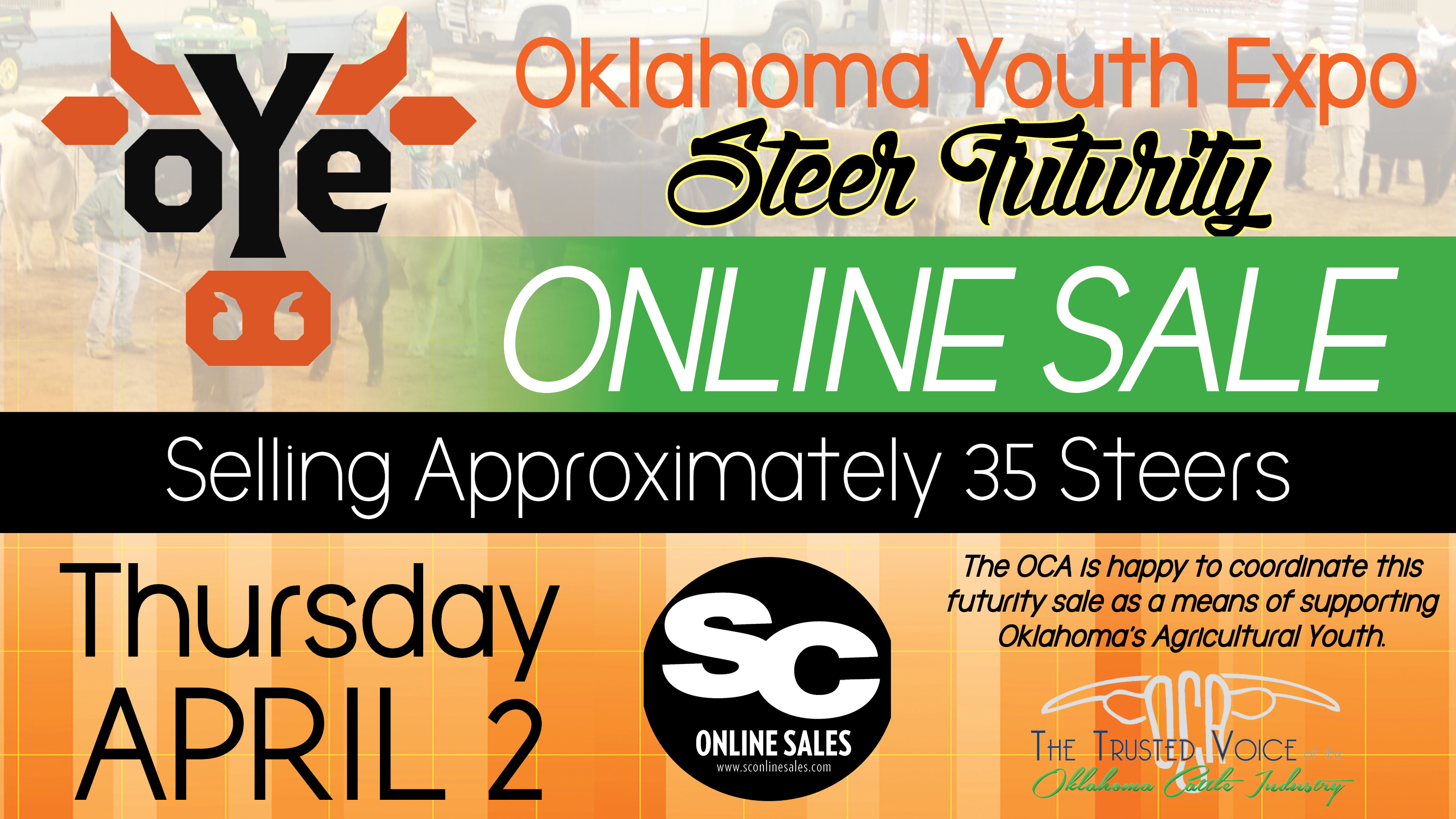 Oklahoma Youth Expo Futurity Sale